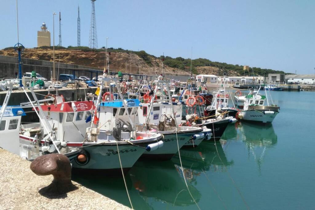 Conil Paraiso Conil De La Frontera Zewnętrze zdjęcie